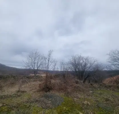 Photo 4 — Plot in Oblast Gabrovo, с. Радино