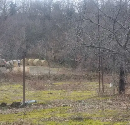 Photo 5 — Plot in Oblast Gabrovo, с. Радино