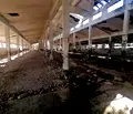 Снимка 4 — Парцел в Габрово, с. Ряховците