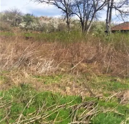 Photo 2 — Plot in Oblast Gabrovo, Slaveikovo