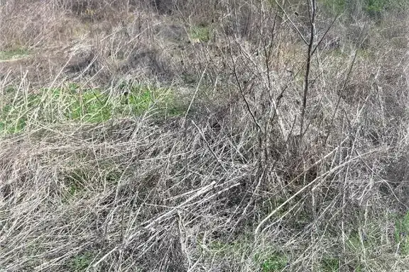 Plot in Oblast Gabrovo, Slaveikovo