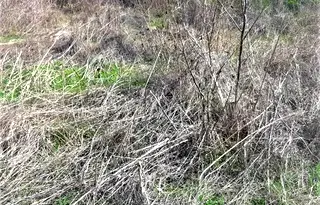 Парцел в Габрово, с. Славейково