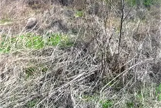 Парцел в Габрово, с. Славейково