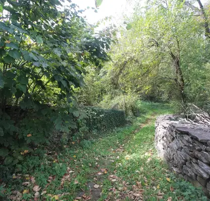 Снимка 3 — Парцел в Габрово, с. Стойчовци