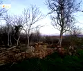Снимка 3 — Парцел в Габрово, с. Туркинча