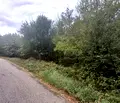 Снимка 3 — Парцел в Габрово, с. Ясените