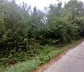 Снимка 4 — Парцел в Габрово, с. Ясените