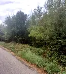Парцел в Габрово, с. Ясените