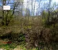 Снимка 2 — Парцел в Габрово, с. Здравковец