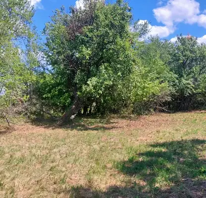 Photo 3 — Plot in Oblast Gabrovo, Zdravkovec