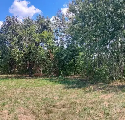Photo 4 — Plot in Oblast Gabrovo, Zdravkovec