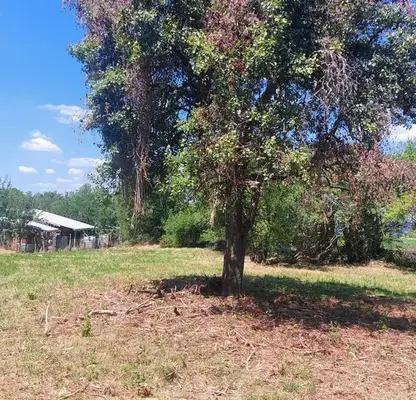 Photo 5 — Plot in Oblast Gabrovo, Zdravkovec