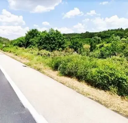 Photo 4 — Plot in Oblast Haskovo, Lyubimec