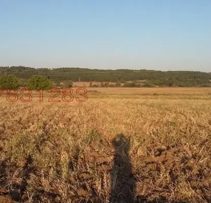 Photo 3 — Plot in Oblast Haskovo, Свилен