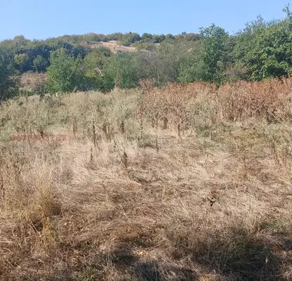 Photo 3 — Plot in Oblast Haskovo, Garvanovo
