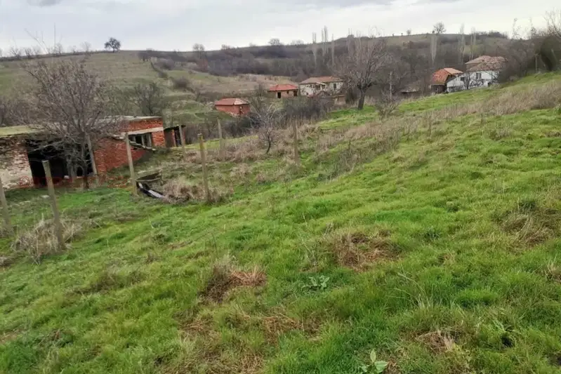 Plot in Haskovo, Ierusalimovo