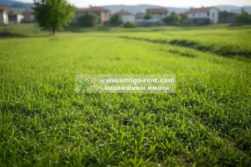 Plot in Haskovo, s. Koren