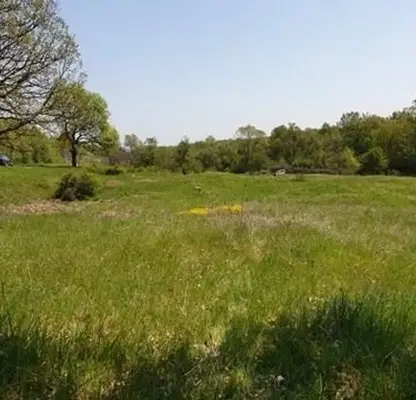 Photo 4 — Plot in Oblast Haskovo, с. Козлец