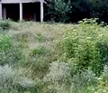 Снимка 3 — Парцел в Хасково, с. Орлово