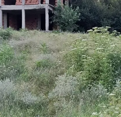 Photo 3 — Plot in Oblast Haskovo, Orlovo