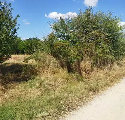 Снимка 3 — Парцел в Хасково, с. Славяново