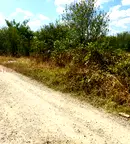 Парцел в Хасково, с. Славяново