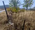 Снимка 2 — Парцел в Кърджали, Момчил