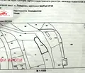 Снимка 3 — Парцел в Кърджали, с. Гняздово