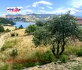 Снимка 4 — Парцел в Кърджали, с. Гняздово