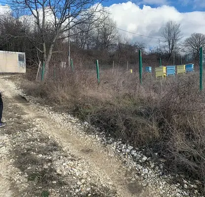 Снимка 3 — Парцел в Кърджали, с. Калинка