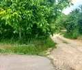 Снимка 3 — Парцел в Кърджали, с. Пчеларово