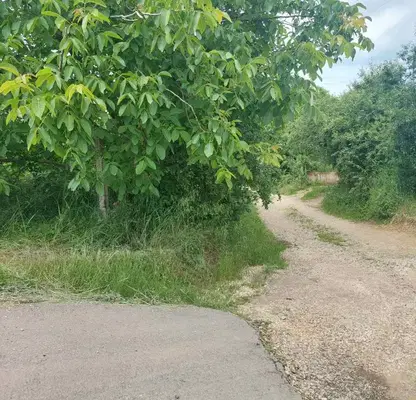 Снимка 3 — Парцел в Кърджали, с. Пчеларово