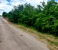 Снимка 4 — Парцел в Кърджали, с. Пчеларово