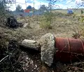Снимка 3 — Парцел в Кърджали, с. Петлино