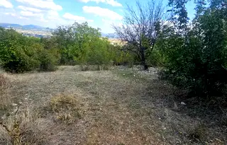 Парцел в Кърджали, с. Петлино