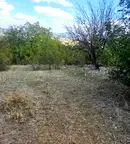 Парцел в Кърджали, с. Петлино