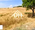 Снимка 2 — Парцел в Кърджали, с. Сипей