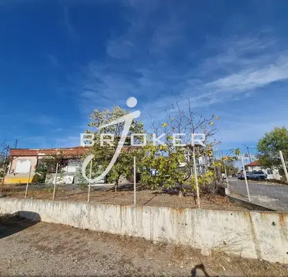 Photo 5 — Plot in Kyrdjali, Sipei
