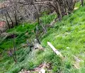 Снимка 2 — Парцел в Кюстендил, Бобошево