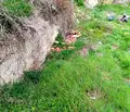 Снимка 3 — Парцел в Кюстендил, Бобошево