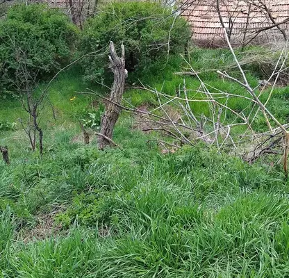Photo 4 — Plot in Oblast Kyustendil, Boboshevo