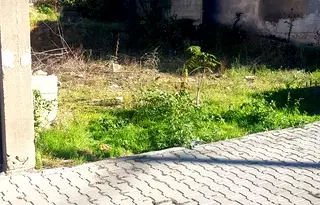 Парцел в Кюстендил, Дупница