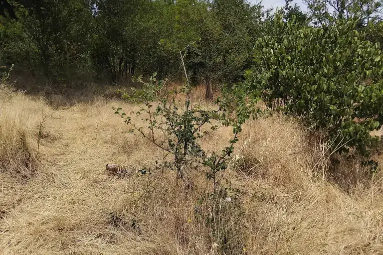 Plot in Oblast Kyustendil, Dupnica