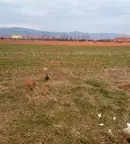 Парцел в Кюстендил, Дупница