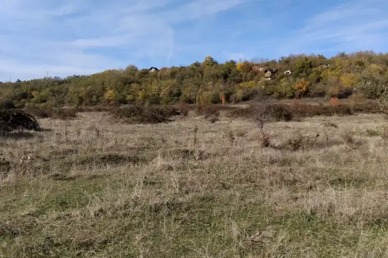 Plot in Oblast Kyustendil, Dupnica
