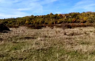 Парцел в Кюстендил, Дупница
