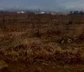 Снимка 2 — Парцел в Кюстендил, Дупница