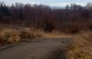 Парцел в Кюстендил, Дупница