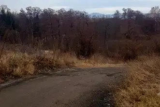 Парцел в Кюстендил, Дупница