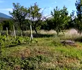 Снимка 3 — Парцел в Кюстендил, Дупница